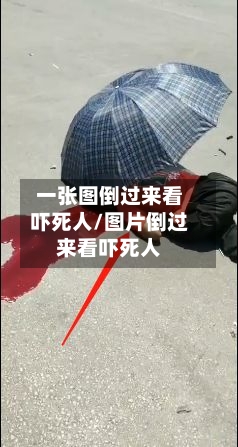 一张图倒过来看吓死人/图片倒过来看吓死人-第1张图片