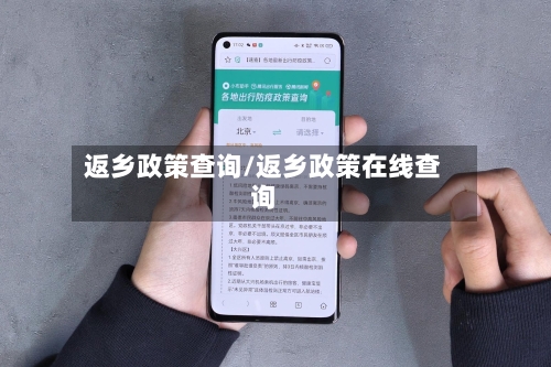 返乡政策查询/返乡政策在线查询-第1张图片