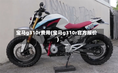 宝马g310r费用(宝马g310r官方报价)-第1张图片