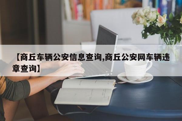 【商丘车辆公安信息查询,商丘公安网车辆违章查询】