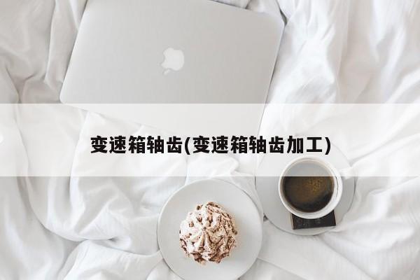 变速箱轴齿(变速箱轴齿加工)