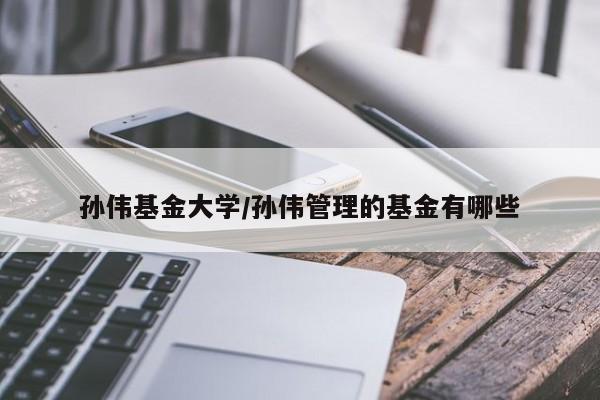 孙伟基金大学/孙伟管理的基金有哪些